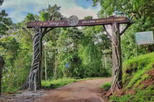 bhadra wildlife sanctuary where beautiful flora and fauna can be seen