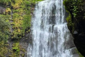 River bhadra forms this spectacular waterfall