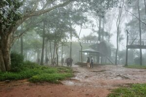 banglore's most recommended place nandhi hills