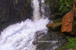 Discover the Wonderful Hidden Gems Near Bangalore