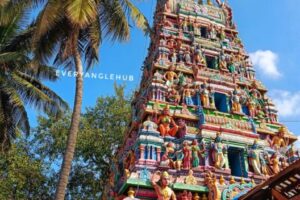 Unique Insights: Discover Bangalore’s Must-Visit Treasures